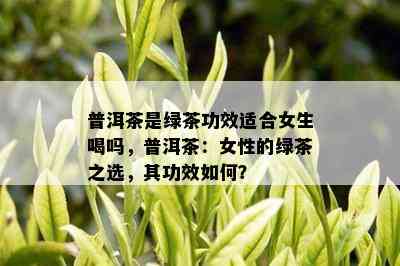 普洱茶是绿茶功效适合女生喝吗，普洱茶：女性的绿茶之选，其功效如何？