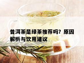 普洱茶是绿茶推荐吗？原因解析与饮用建议