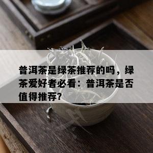 普洱茶是绿茶推荐的吗，绿茶爱好者必看：普洱茶是否值得推荐？