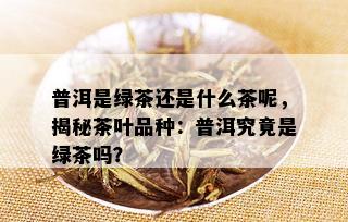 普洱是绿茶还是什么茶呢，揭秘茶叶品种：普洱究竟是绿茶吗？