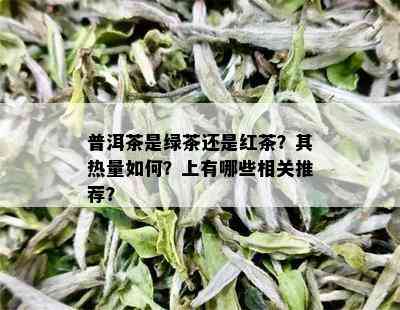 普洱茶是绿茶还是红茶？其热量如何？上有哪些相关推荐？