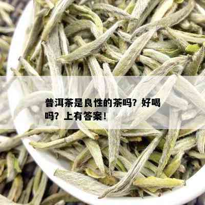 普洱茶是良性的茶吗？好喝吗？上有答案！