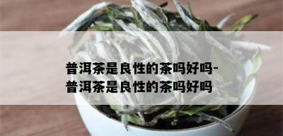 普洱茶是良性的茶吗好吗-普洱茶是良性的茶吗好吗