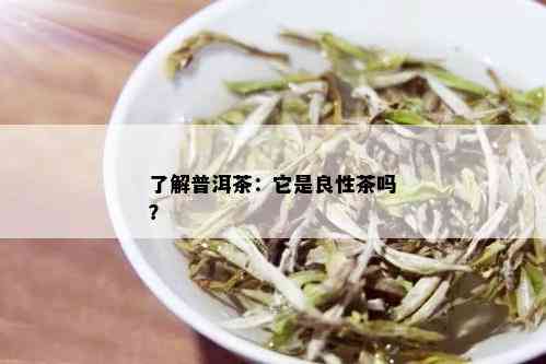 了解普洱茶：它是良性茶吗？