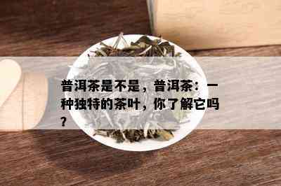 普洱茶是不是，普洱茶：一种独特的茶叶，你了解它吗？