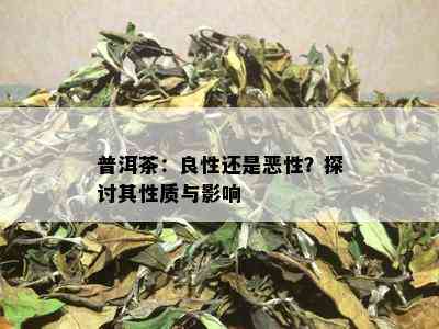 普洱茶：良性还是恶性？探讨其性质与影响