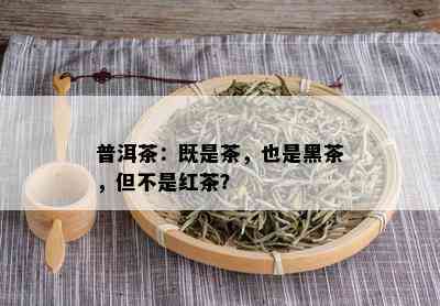 普洱茶：既是茶，也是黑茶，但不是红茶？