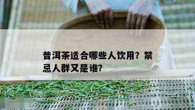 普洱茶适合哪些人饮用？禁忌人群又是谁？