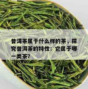 普洱茶属于什么样的茶，探究普洱茶的特性：它属于哪一类茶？