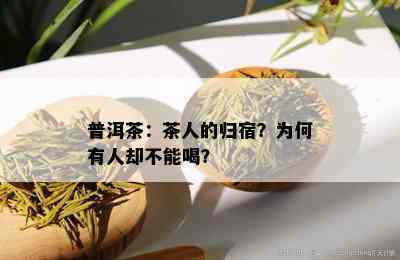 普洱茶：茶人的归宿？为何有人却不能喝？