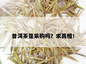 普洱茶是采购吗？求真相！