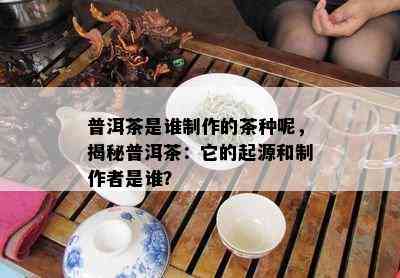 普洱茶是谁制作的茶种呢，揭秘普洱茶：它的起源和制作者是谁？