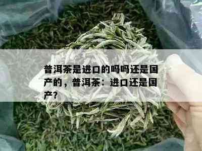 普洱茶是进口的吗吗还是国产的，普洱茶：进口还是国产？