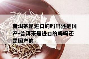 普洱茶是进口的吗吗还是国产-普洱茶是进口的吗吗还是国产的