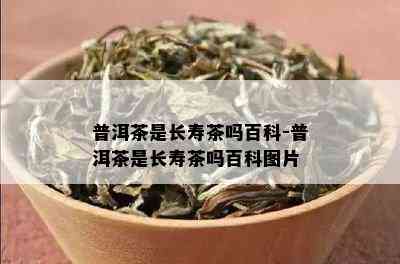 普洱茶是长寿茶吗百科-普洱茶是长寿茶吗百科图片