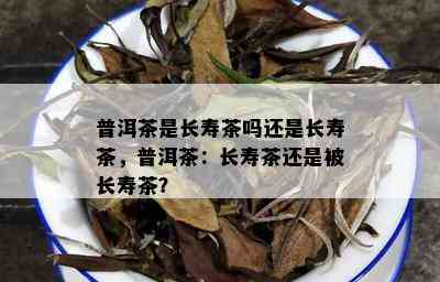 普洱茶是长寿茶吗还是长寿茶，普洱茶：长寿茶还是被长寿茶？