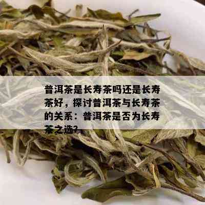 普洱茶是长寿茶吗还是长寿茶好，探讨普洱茶与长寿茶的关系：普洱茶是否为长寿茶之选？