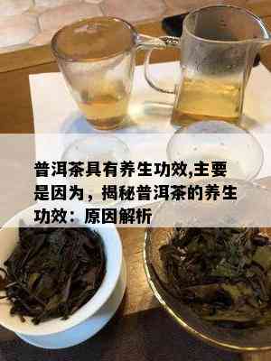 普洱茶具有养生功效,主要是因为，揭秘普洱茶的养生功效：原因解析