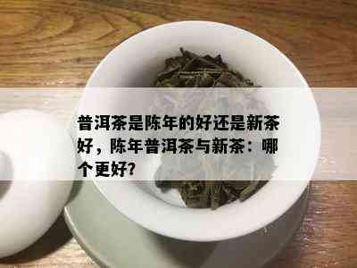 普洱茶是陈年的好还是新茶好，陈年普洱茶与新茶：哪个更好？