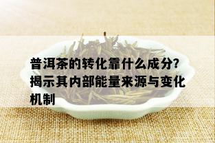 普洱茶的转化靠什么成分？揭示其内部能量来源与变化机制