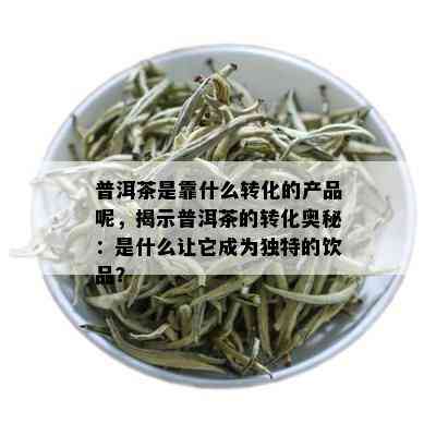 普洱茶是靠什么转化的产品呢，揭示普洱茶的转化奥秘：是什么让它成为独特的饮品？