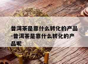 普洱茶是靠什么转化的产品-普洱茶是靠什么转化的产品呢