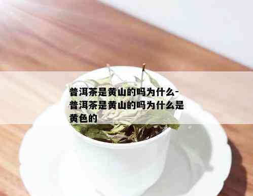 普洱茶是黄山的吗为什么-普洱茶是黄山的吗为什么是黄色的