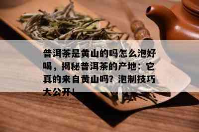 普洱茶是黄山的吗怎么泡好喝，揭秘普洱茶的产地：它真的来自黄山吗？泡制技巧大公开！