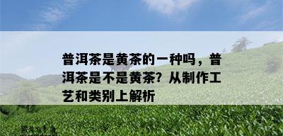 普洱茶是黄茶的一种吗，普洱茶是不是黄茶？从制作工艺和类别上解析