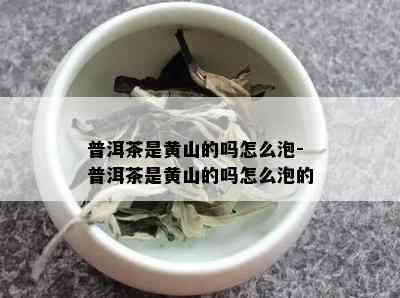 普洱茶是黄山的吗怎么泡-普洱茶是黄山的吗怎么泡的