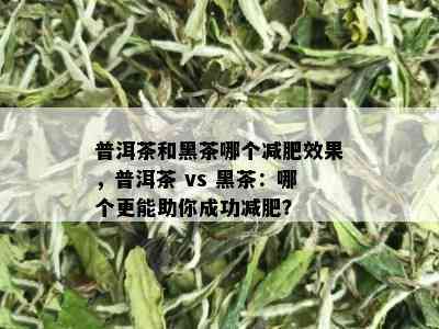 普洱茶和黑茶哪个减肥效果，普洱茶 vs 黑茶：哪个更能助你成功减肥？