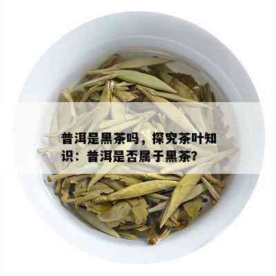 普洱是黑茶吗，探究茶叶知识：普洱是否属于黑茶？