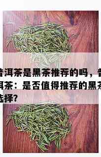 普洱茶是黑茶推荐的吗，普洱茶：是否值得推荐的黑茶选择？