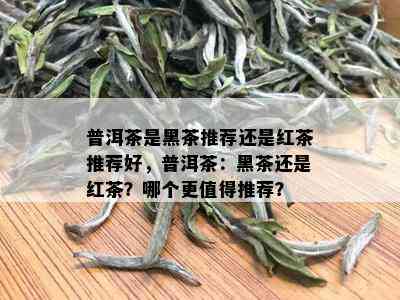 普洱茶是黑茶推荐还是红茶推荐好，普洱茶：黑茶还是红茶？哪个更值得推荐？