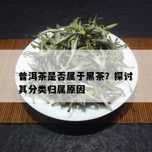 普洱茶是否属于黑茶？探讨其分类归属原因