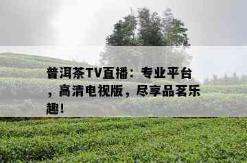 普洱茶TV直播：专业平台，高清电视版，尽享品茗乐趣！