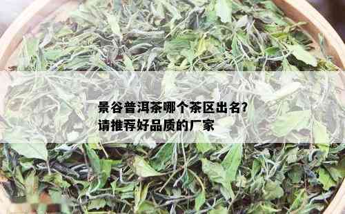 景谷普洱茶哪个茶区出名？请推荐好品质的厂家