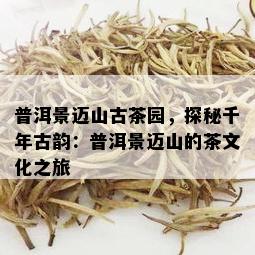 普洱景迈山古茶园，探秘千年古韵：普洱景迈山的茶文化之旅