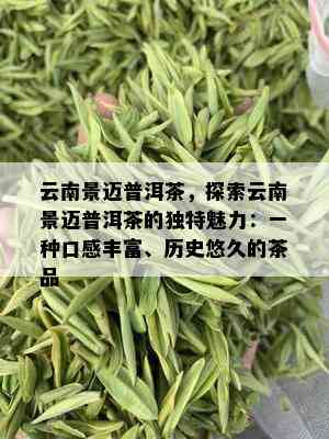 云南景迈普洱茶，探索云南景迈普洱茶的独特魅力：一种口感丰富、历史悠久的茶品