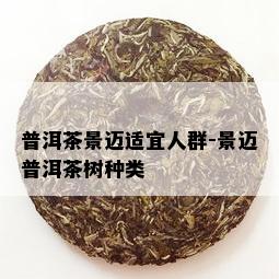 普洱茶景迈适宜人群-景迈普洱茶树种类