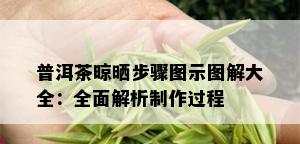 普洱茶晾晒步骤图示图解大全：全面解析制作过程