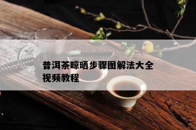 普洱茶晾晒步骤图解法大全视频教程