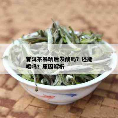 普洱茶暴晒后发酸吗？还能喝吗？原因解析