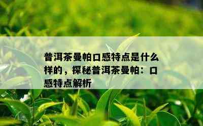 普洱茶曼帕口感特点是什么样的，探秘普洱茶曼帕：口感特点解析