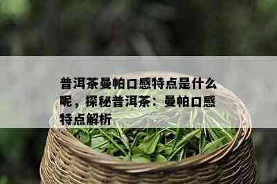 普洱茶曼帕口感特点是什么呢，探秘普洱茶：曼帕口感特点解析