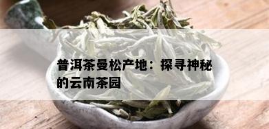 普洱茶曼松产地：探寻神秘的云南茶园