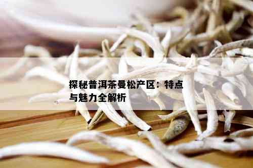 探秘普洱茶曼松产区：特点与魅力全解析