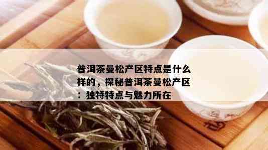 普洱茶曼松产区特点是什么样的，探秘普洱茶曼松产区：独特特点与魅力所在