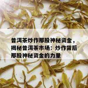 普洱茶炒作那股神秘资金，揭秘普洱茶市场：炒作背后那股神秘资金的力量