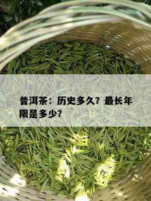 普洱茶：历史多久？最长年限是多少？